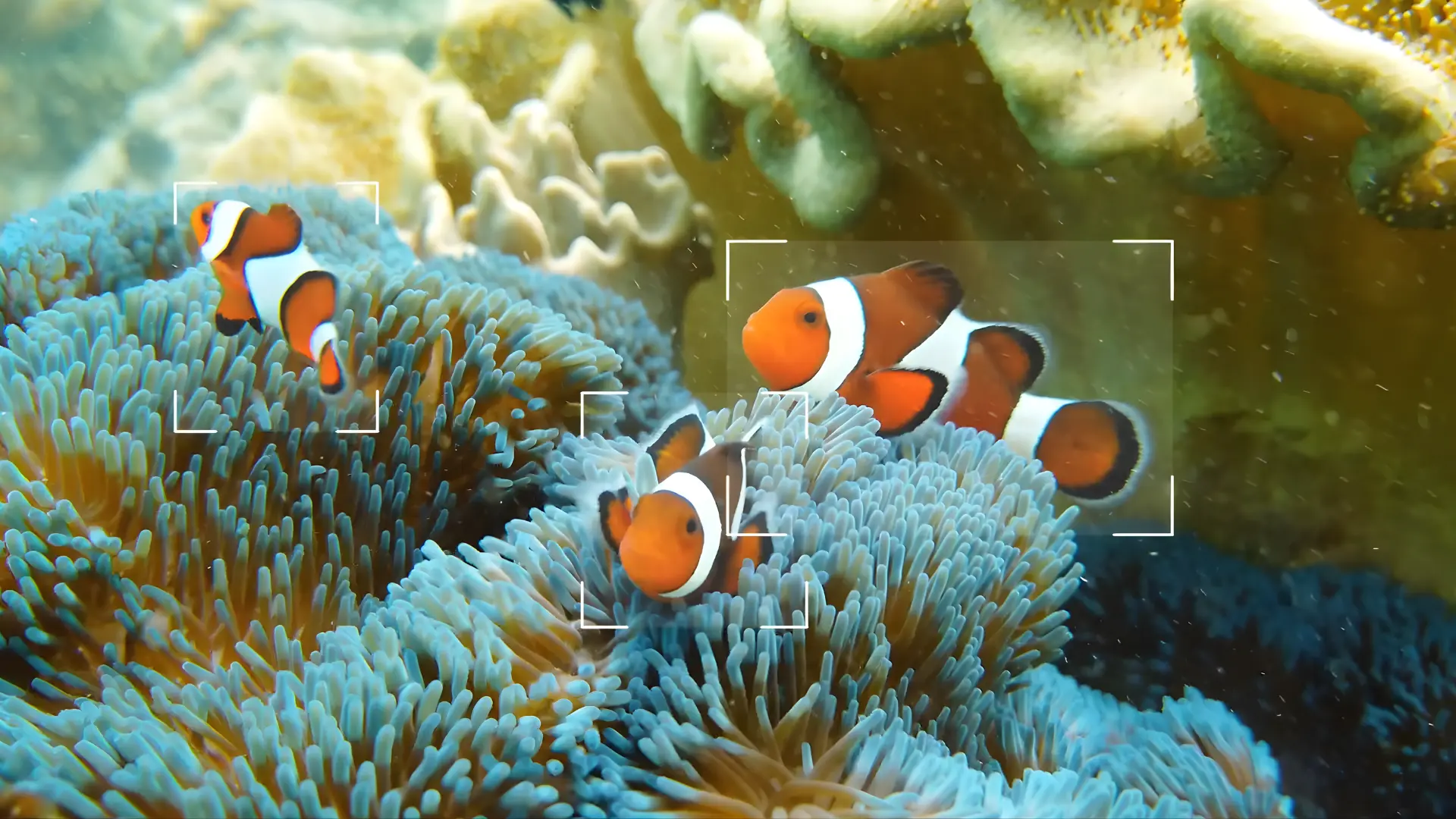 suivi biodiversité parc naturel aquarium hotel espace éducatif musée