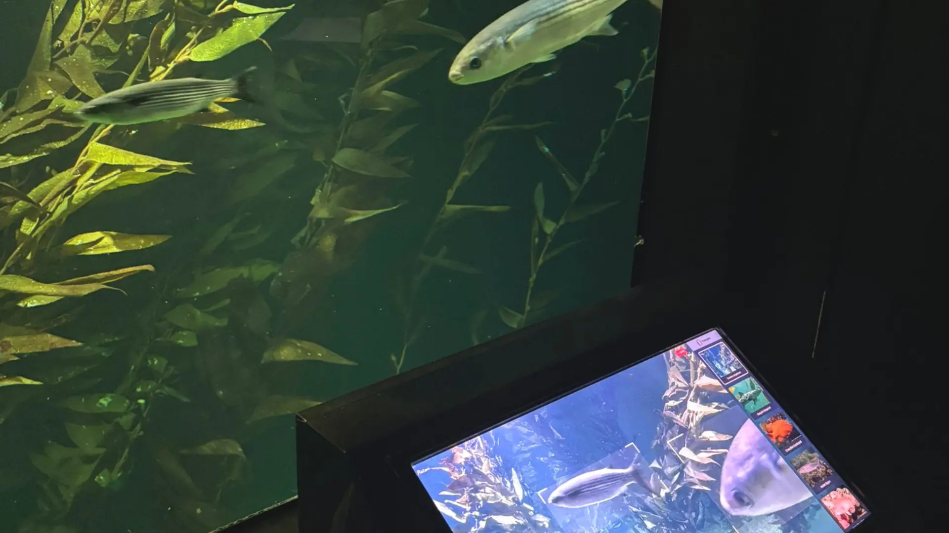 moderniser aquarium visiteurs