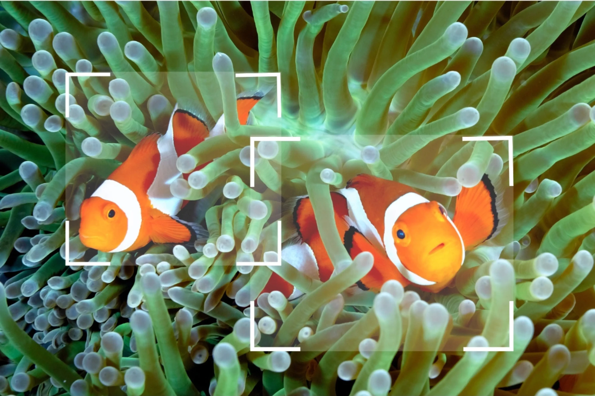 moderniser aquarium visiteurs