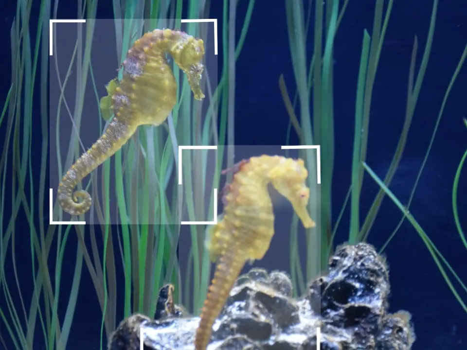 suivi biodiversité parc naturel