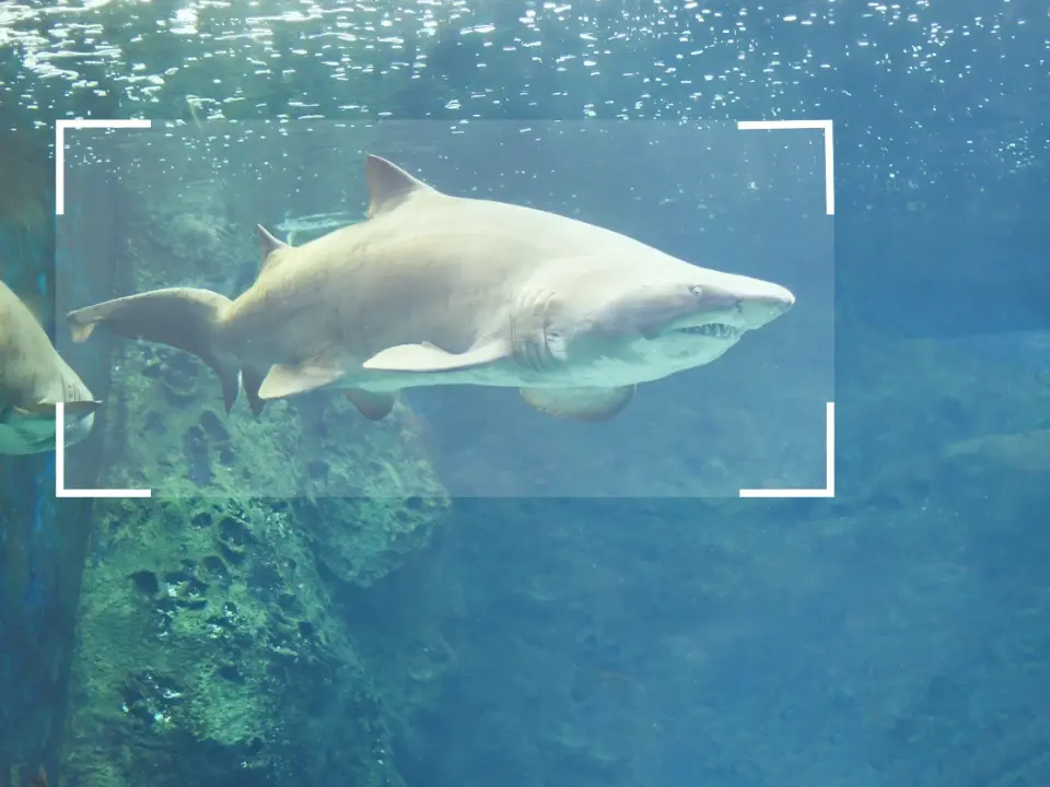 suivi biodiversité parc naturel