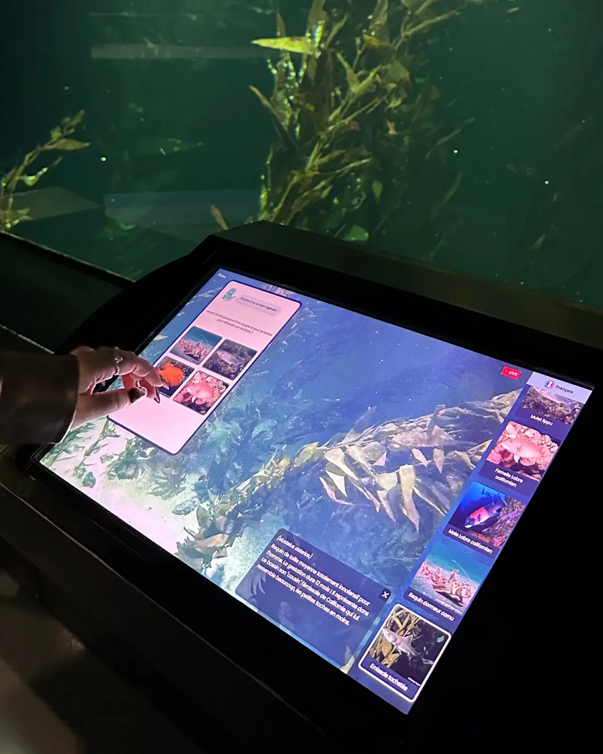moderniser aquarium visiteurs