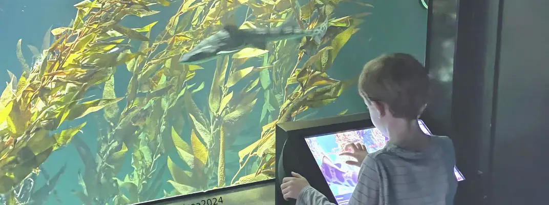 moderniser aquarium visiteurs