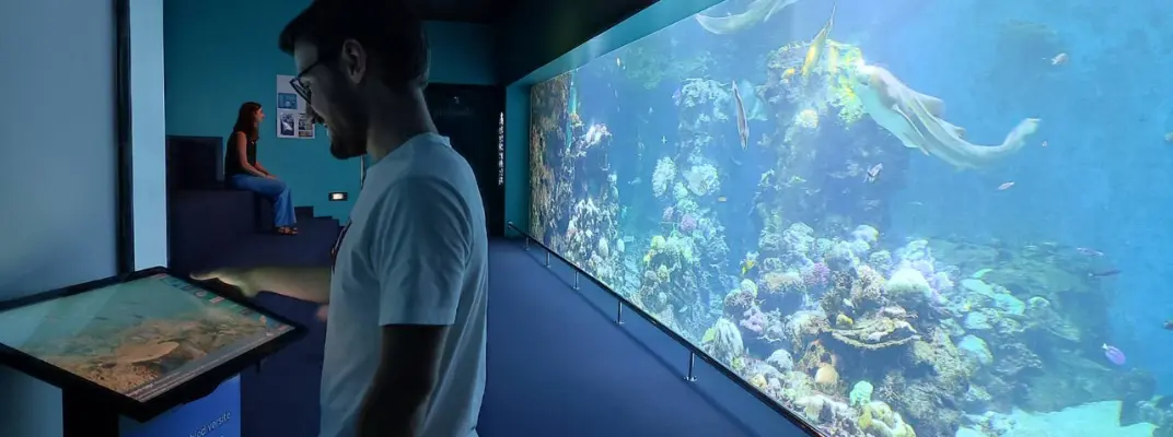 moderniser aquarium visiteurs